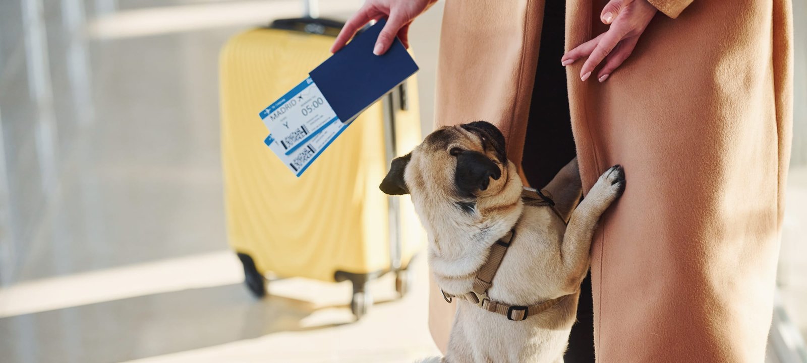 Tutora no aeroporto com passaporte, cartões de embarque e seu cão